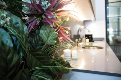 a counter with a bunch of plants on it at Magnifica vivienda a estrenar junto a Plaza España in Valencia