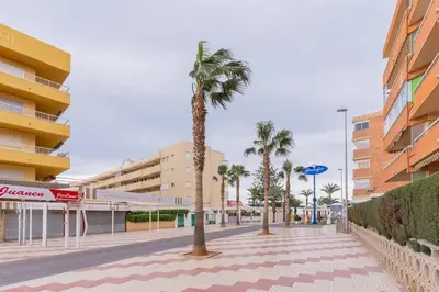 a palm tree on a sidewalk next to some buildings at Canet Seaview Gem: Pool & Beach Proximity in Canet de Berenguer