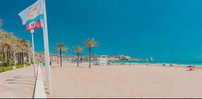 a view of a beach with palm trees and the ocean at Piso a 3 minutos de la playa!! 6 personas in Cullera