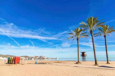 a beach with palm trees and a blue sky at Piso a 3 minutos de la playa!! 6 personas in Cullera