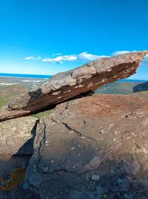a tree branch on top of a rock at loft Gilet 20 km Valencia montaña Senderismo Bici in Gilet