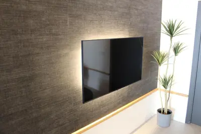 a flat screen tv on a wall with two plants at Promotur Suites - Ayora in Valencia