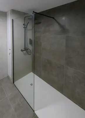 a shower with a glass door in a bathroom at Céntrico 6 personas Ciencias Oceanografico in Valencia