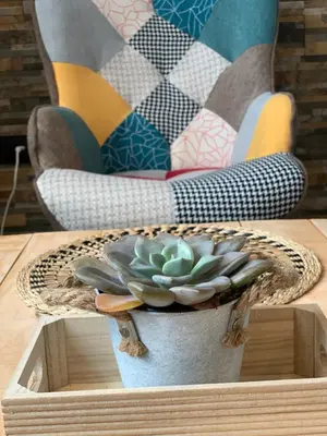a plant in a pot on a table with a chair at Luna y Sol in Valencia