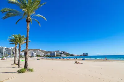 a beach with palm trees and people laying on the sand at Cullera Beachfront Apartment in Cullera