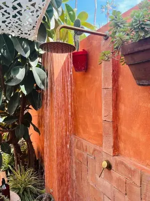 a water hose attached to a wall with plants at Loft a 5min de la playa in Valencia