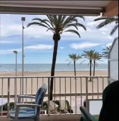 a palm tree and a chair on the beach at Frente al mar in Cullera