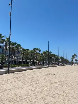 a sandy beach with palm trees and a street at Calm Jungle Apartment Near Valencia in Aldaia
