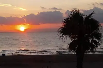 a sunset on the beach with a palm tree at Patacona Sunrises Premium in Valencia