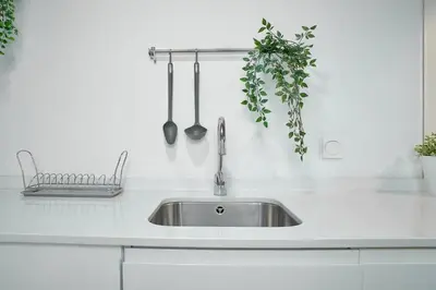 a white kitchen with a sink and some plants at Apartamento de diseño en la Plaza del Carmen F1 in Valencia