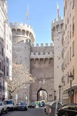 a gate to a castle with cars parked in a street at Loft elegante en Plaza del Carmen F3 in Valencia