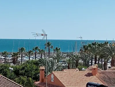 a view of a beach with palm trees and the ocean at CANETSOL in Canet de Berenguer