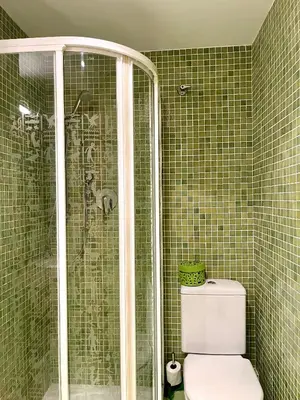 a bathroom with a shower and a toilet at Apartamento en primera línea de la playa a 15 minutos de la Ciudad de Valencia in Valencia