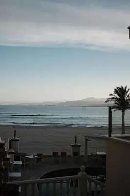 a view of a beach with a palm tree and the ocean at Luminoso piso cerca de la playa in Cullera