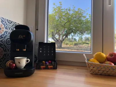 a coffee maker sitting next to a basket of fruit at Casa the Dutchman in Navarrés
