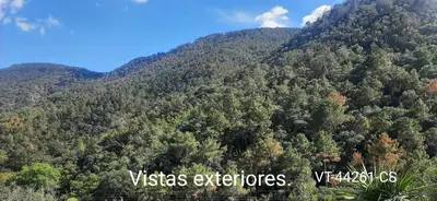 a mountain covered in trees with the words vyssas extructures at Casa del Cerro in Eslida