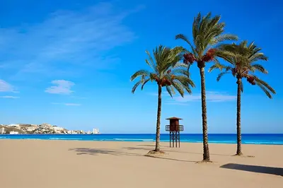 two palm trees and a lifeguard tower on a beach at Cómodo y luminoso apto cerca de Playas y Valencia in Sueca