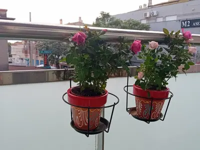 two flower pots on a balcony with pink roses at El estudio de las mariposas,sofa cama , cocina y baño in Partida de La Cañada