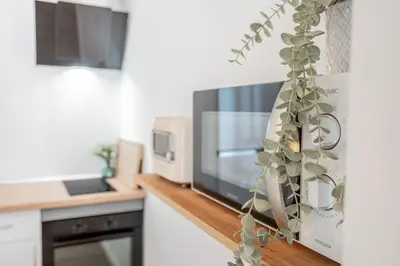 a kitchen counter with a microwave and a plant at Mediterraneum Suite F in Valencia