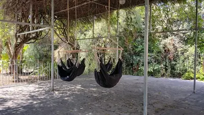 a group of hammocks hanging from a tree at Apartamento en molino con piscina in Paterna
