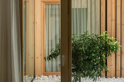 a window with a potted plant in front of it at Apartamentos Maestro Sosa in Valencia