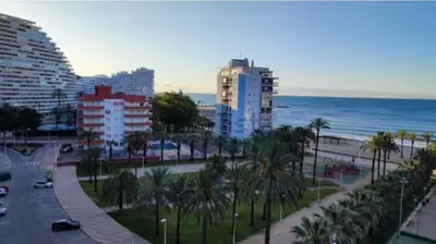 a city with palm trees and the ocean and buildings at Piso nuevo y con vistas in Cullera