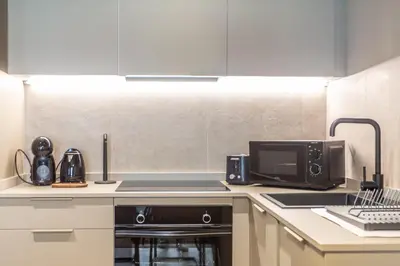 a kitchen with a stove and a microwave at Apartamentos 87 Llaves in Valencia