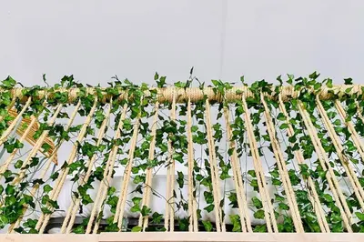 a bunch of plants growing on a white fence at Beach Flat for Family & Groups in Valencia