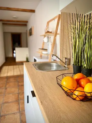a kitchen counter with a bowl of oranges and a sink at Aire in Valencia