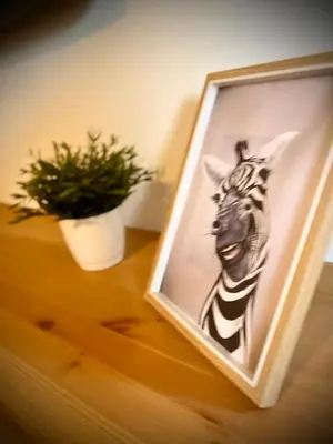 a picture of a zebra in a picture frame on a table at Tierra in Valencia