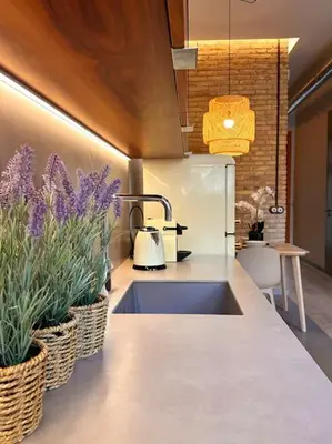 a kitchen with a sink and two potted plants at Tradicional Casa con patio Ruzafa in Valencia