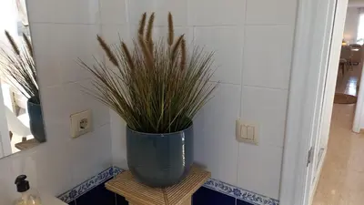 a green plant sitting on a stand in a bathroom at El balcón de Alexia, 5 minutos del aeropuerto in Partida de La Cañada