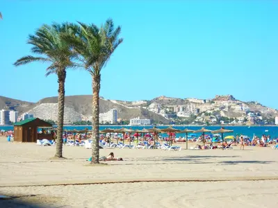 a group of people on a beach with palm trees at Cullera Buena Vista Social Club con piscina y vistas al mar Solo Familias! in Cullera
