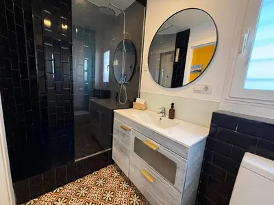 a bathroom with a sink and a shower and a mirror at Petite Penthouse with the sunniest terrace in Valencia in Valencia