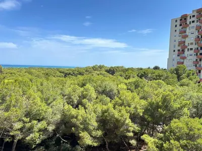 a tall building in the middle of a forest of trees at District Key - Saler, Av Gola Puchol 14 in Valencia