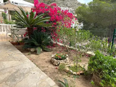 a garden with pink flowers and plants at Beauty Garden in Cullera