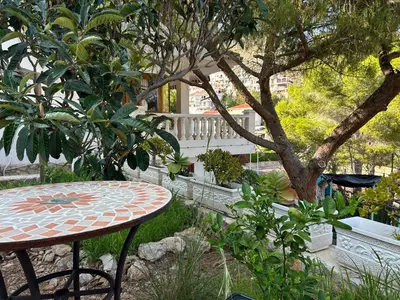 a table and a tree in a garden at Beauty Garden in Cullera