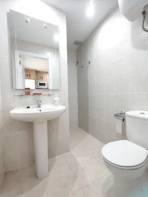 a bathroom with a sink and a toilet and a mirror at Apartamentos rurales Villamalur in Villamalur