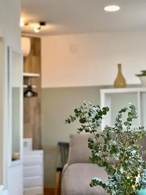 a living room with a couch and a plant at Apartamentos de Pradas in Valencia