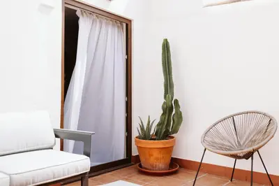 a living room with a couch and a chair and a cactus at Lindala Natural in Valencia