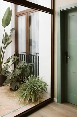 a mirror in front of a door with plants at Lindala Natural in Valencia