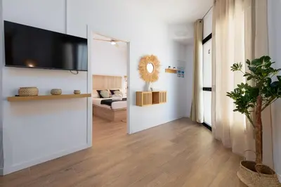 a living room with a flat screen tv on a wall at Travel Habitat Bioparc Apartments in Valencia