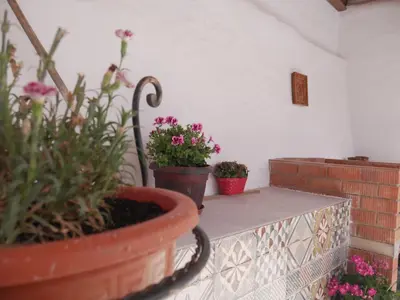 two potted plants sitting on a ledge with flowers at Casa Vistalmar in Cullera