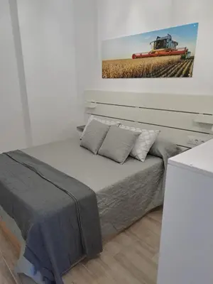 a bedroom with a bed with a painting on the wall at Apartamentos ESPIGAS PUERTO in Valencia