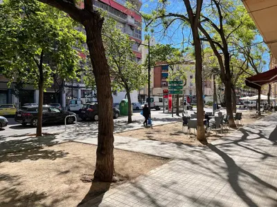 a person walking down a city street with trees at Junto al Jardín del Turia Apartamento in Valencia