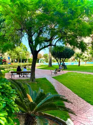 Gallery image of Complejo Mediterráneo in Masalfasar