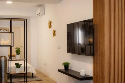 a living room with a mirror and plants on the wall at Green Relax Leones in Valencia
