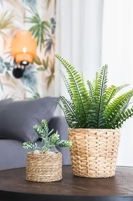 two plants in baskets sitting on a table at Apartamento Palermo Living Suites en Burriana in Burriana
