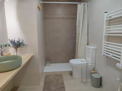 a bathroom with a sink and a toilet and a shower at Loft nuevo cerca de Ruzafa in Valencia