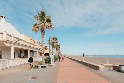 a palm tree on a sidewalk next to the beach at Terrasses - Beach apartment with swimming pool in Puzol